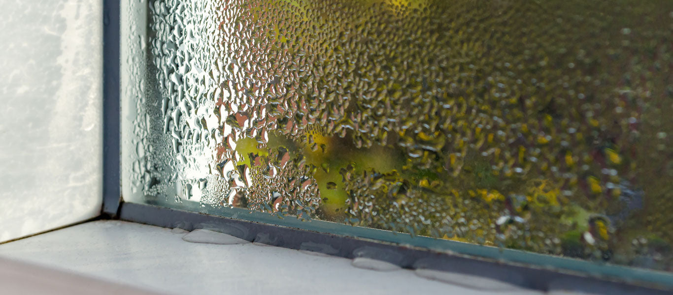 humid house window with condensation