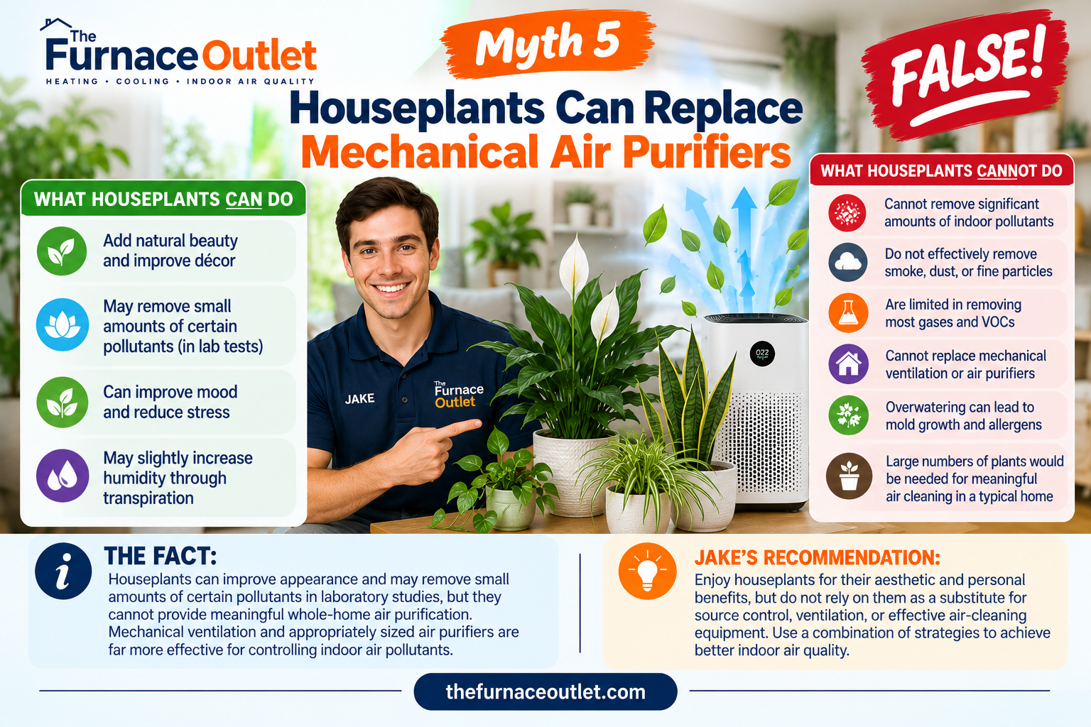 Myth 5: Houseplants Can Replace Mechanical Air Purifiers